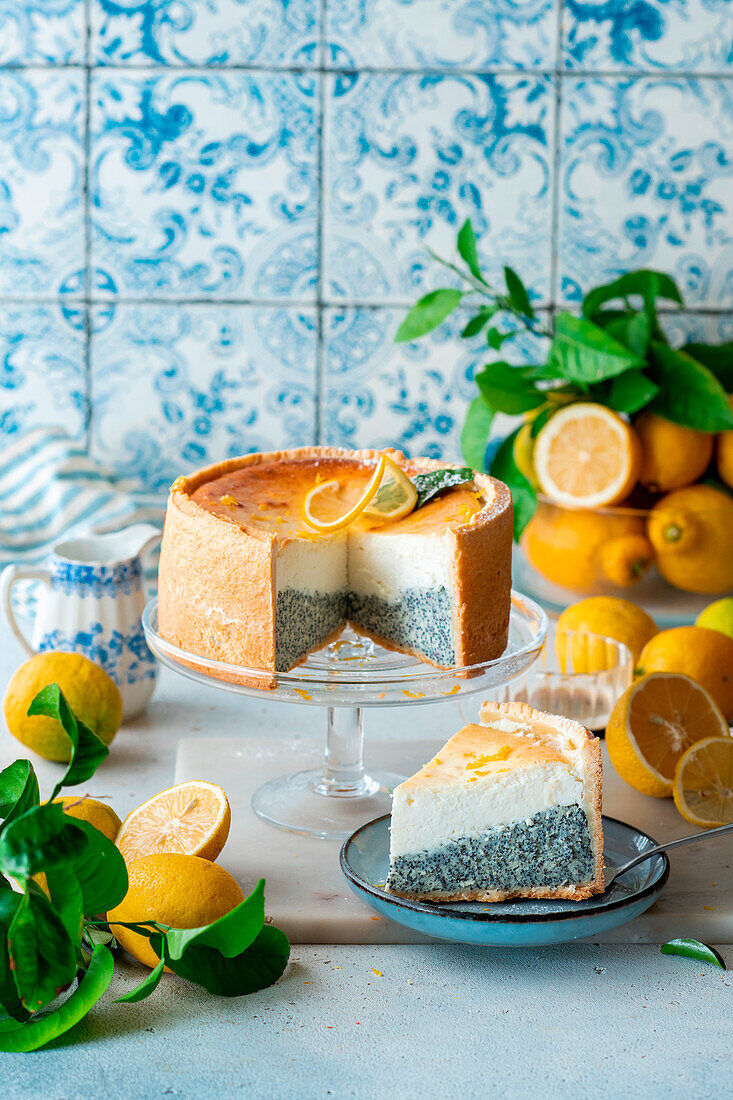 Poppy seed quark cake