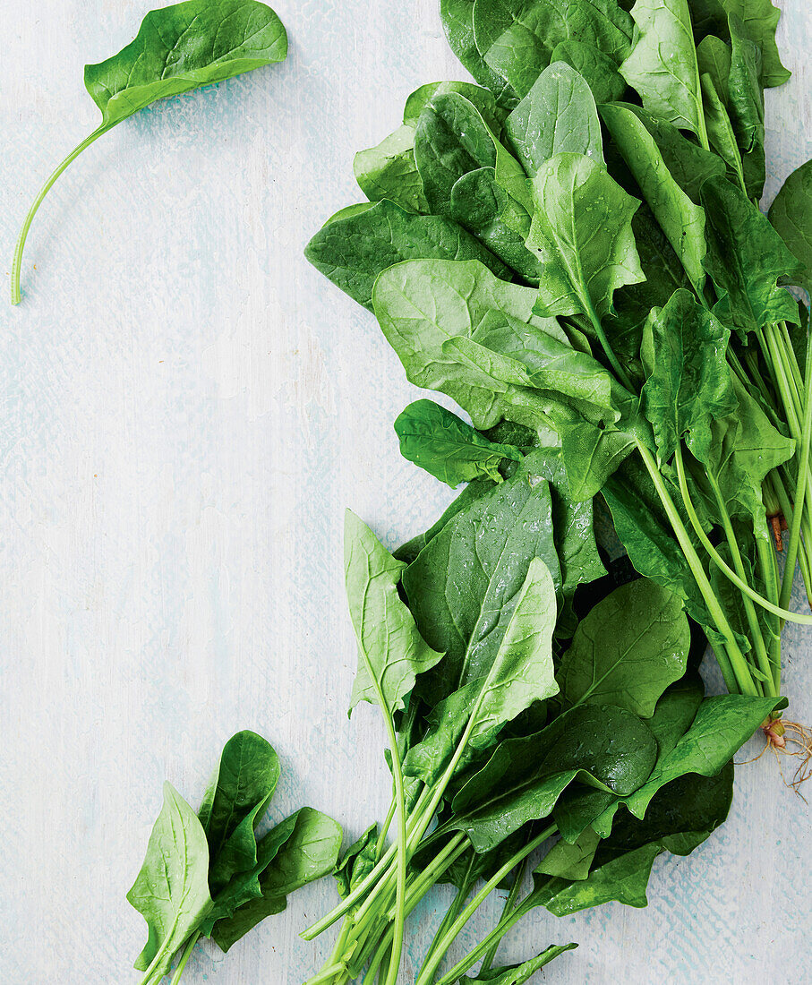 Fresh spinach leaves on a white background