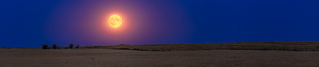 Panorama of rising Super Blue Moon