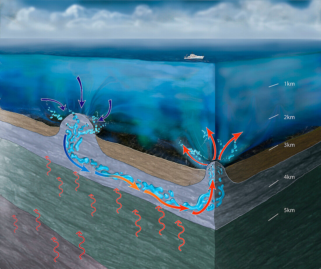 Hydrothermal siphon, illustration