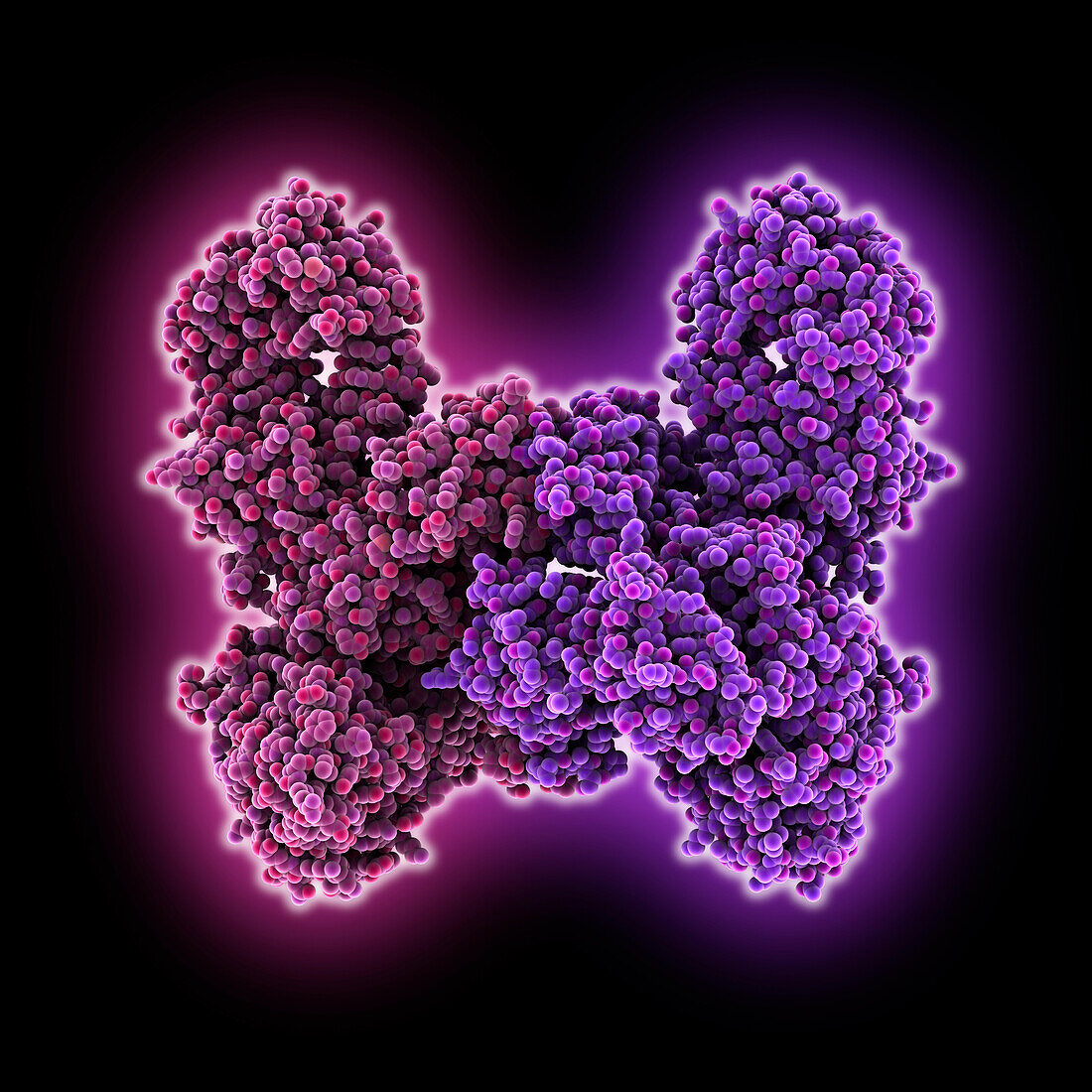 DdmDE defence system from Vibrio cholerae, illustration