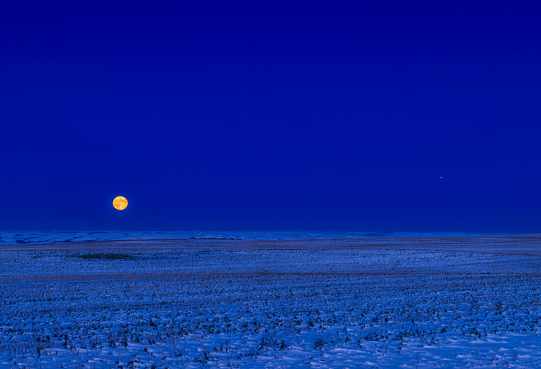 Rising Moon with Jupiter near opposition