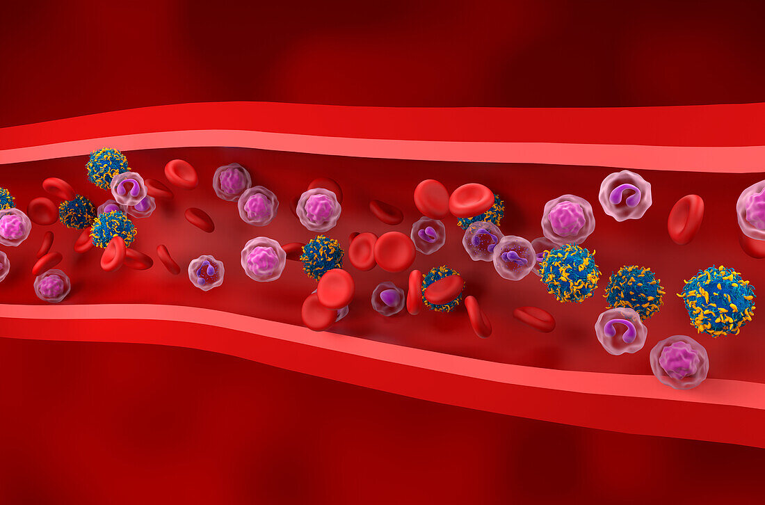 CAR-T cells in blood vessel, illustration