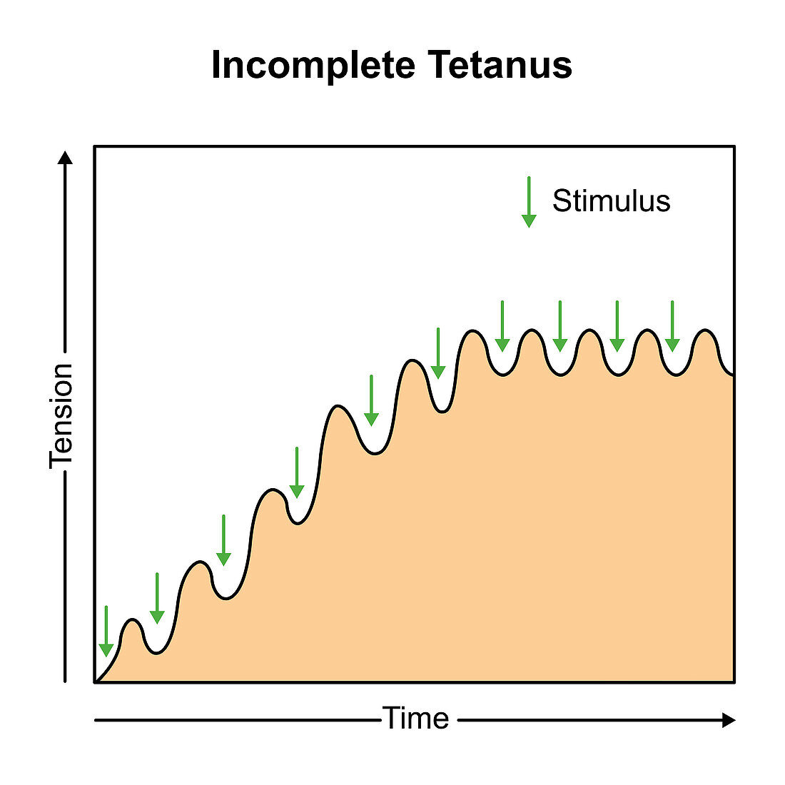 Incomplete tetanus muscle contraction, illustration