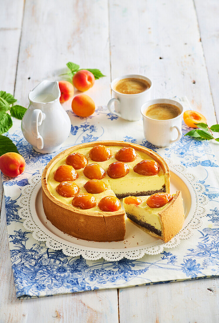 Apricot and poppy seed cheesecake