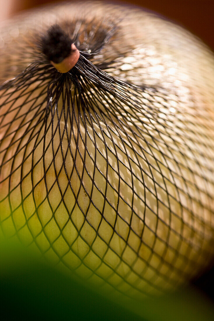 Extreme close up of an onion