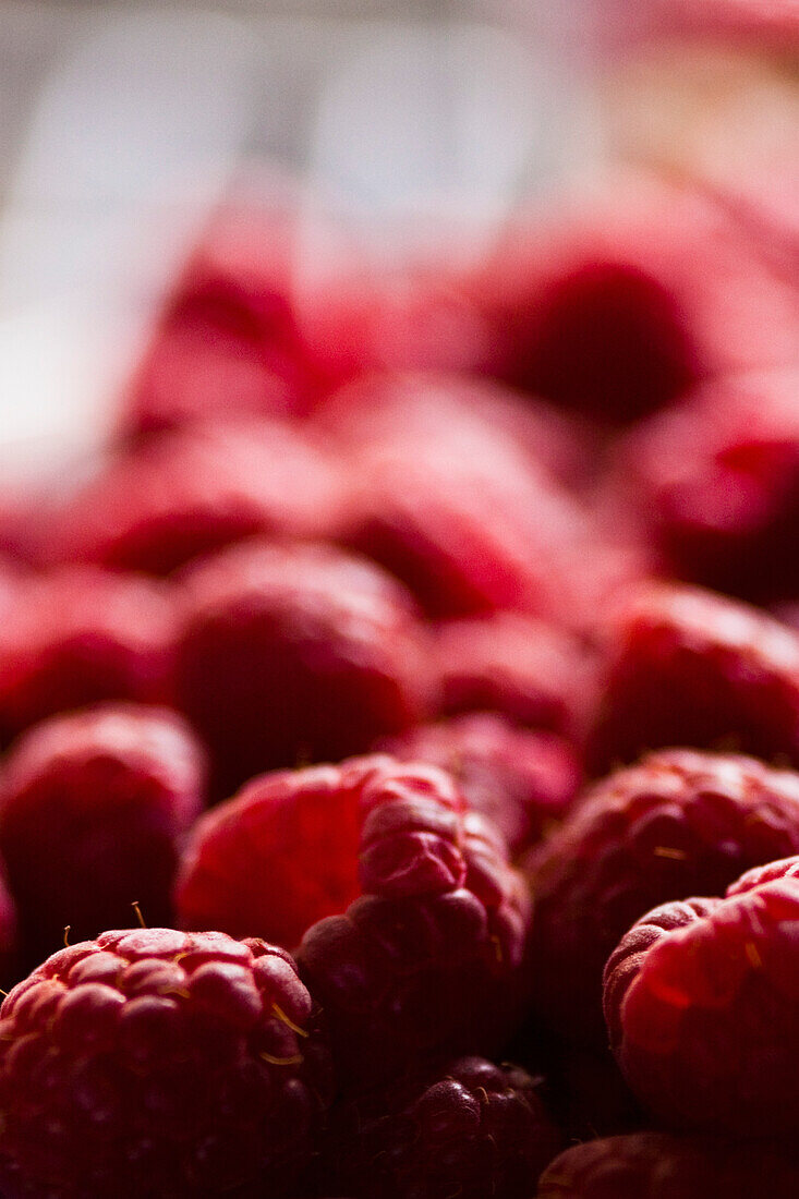 Extreme close up of raspberries