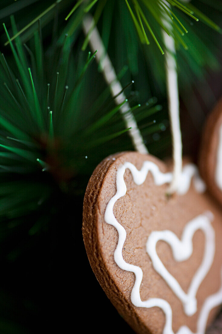 Close up of heart shaped biscuits hanging from Christmas tree