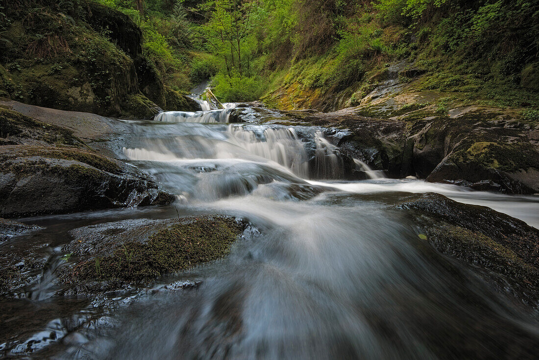 Waterfalls on Sweet Creek in the Coast Range mountains of Oregon.