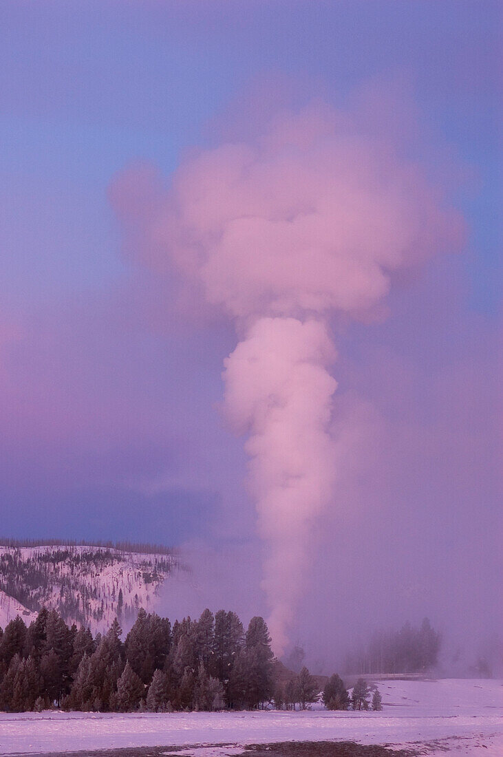 Castle Geyser Dampf in der Winterdämmerung, Upper Geyser Basin, Yellowstone National Park, Wyoming, USA.