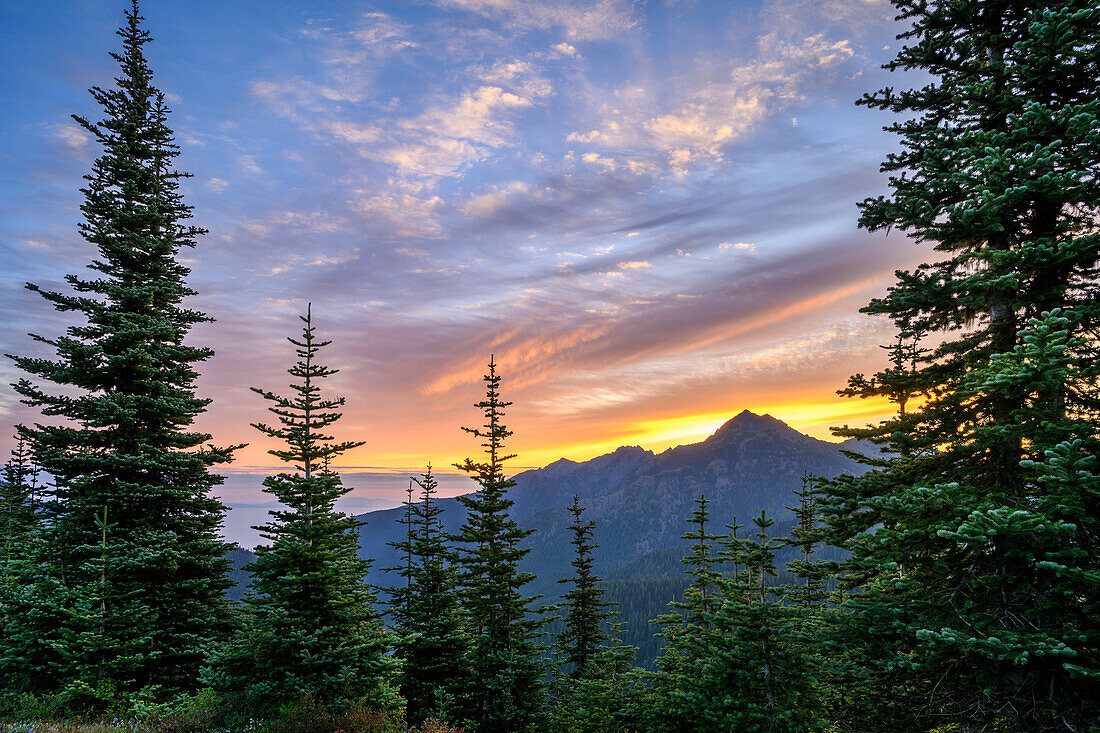 Sonnenuntergang vom Hurricane Hill Trail, Olympic National Park, Washington, USA.