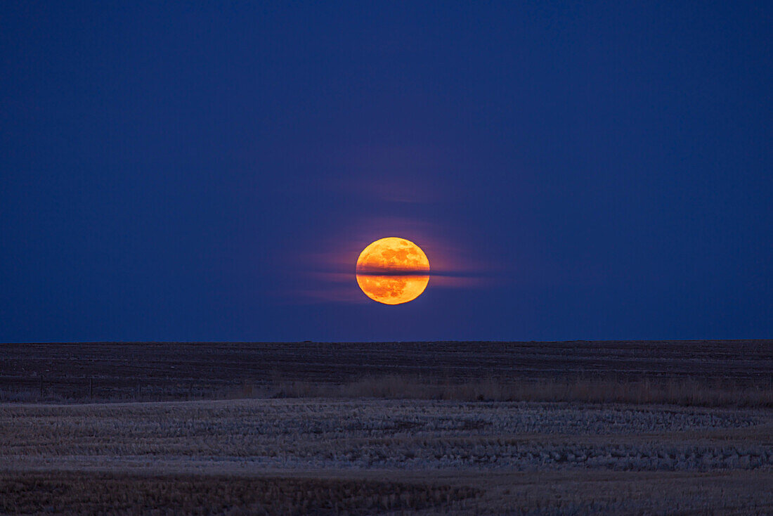 Der aufgehende Vollmond am 23. April 2024, wobei der April-Vollmond im Volksmund als rosa" Mond oder der Froschquakende Mond."