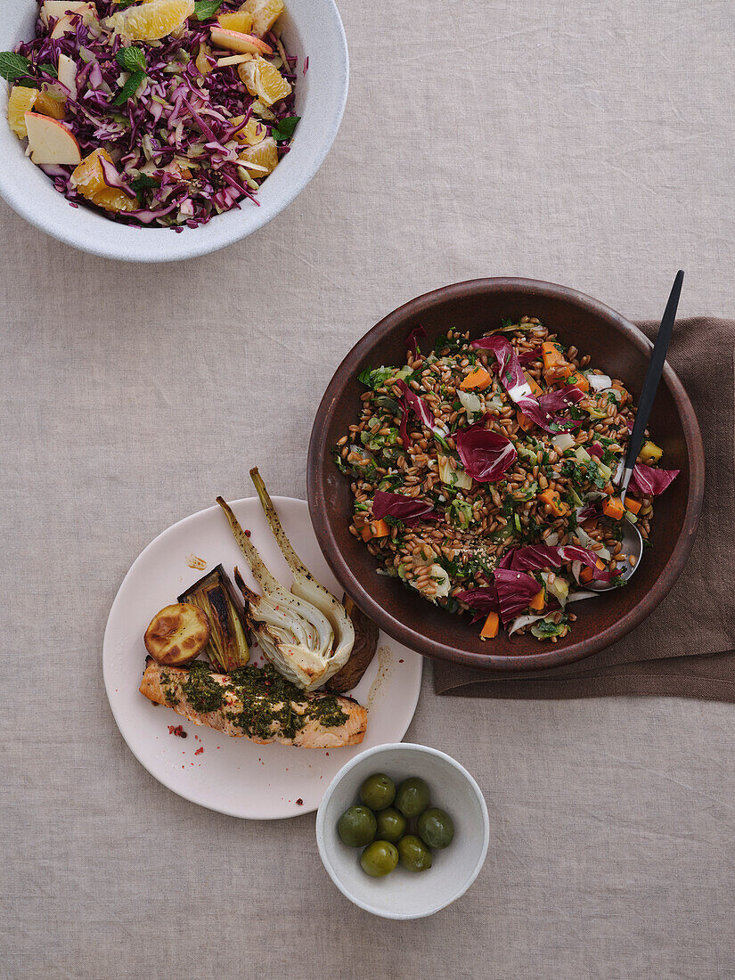 Still life tabletop view from above healthy, gourmet meal of spelt salad, grilled salmon, coleslaw