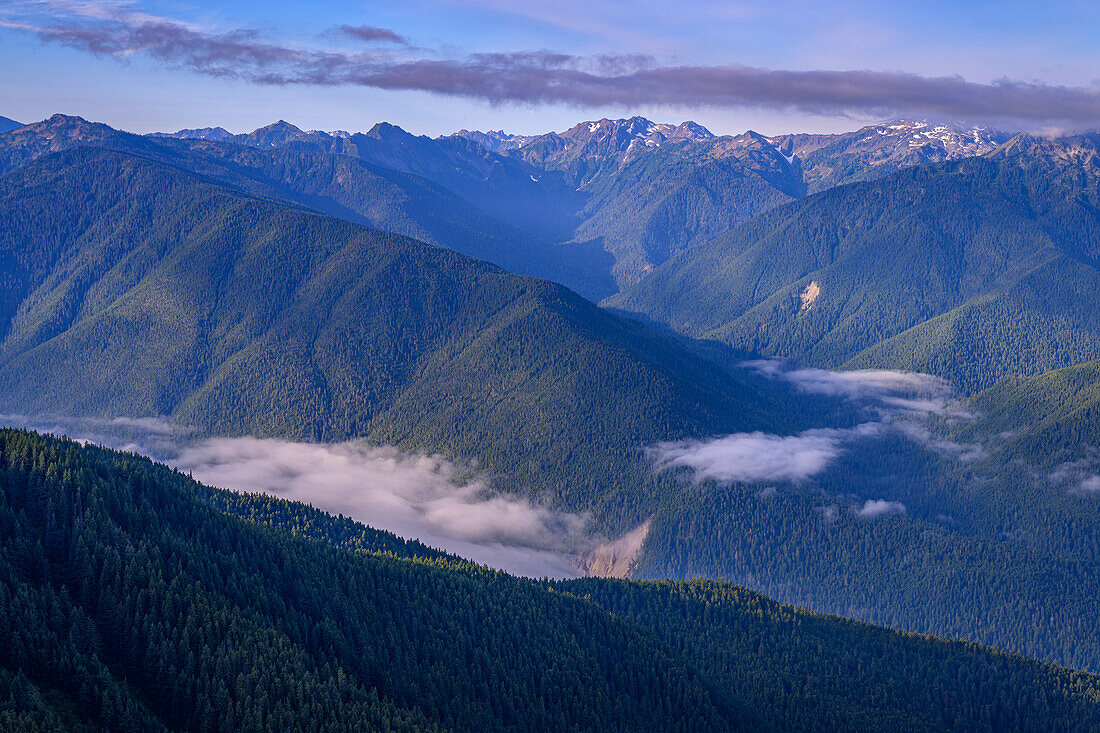 Bailey Range Berge und Elwha River Drainage vom Hurricane Hill Trail im Olympic Natioanl Park, Washington, USA.