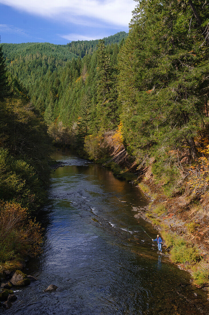 Fliegenfischer an der North Fork des Middle Fork of the Willamette River, Cascade Mountains, Aufderheide Memorial Drive, Willamette National Forest, Oregon.