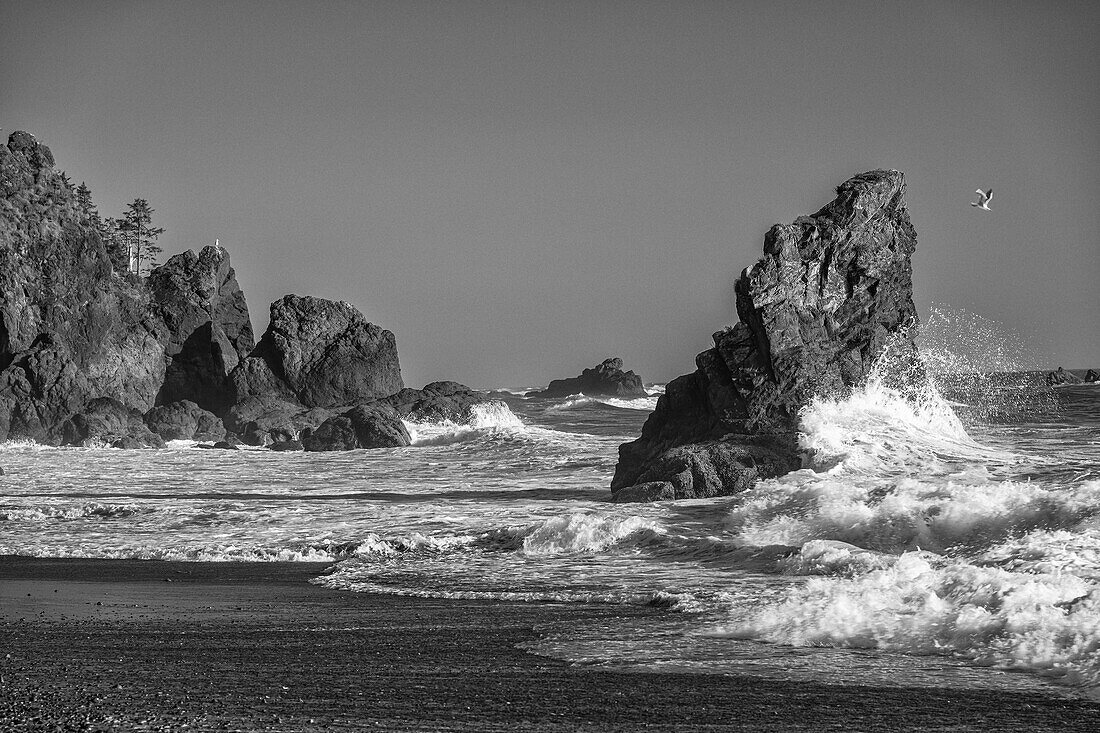 Brandung und Wellenbrecher am Ruby Beach im Olympic National Park, Washington, USA.