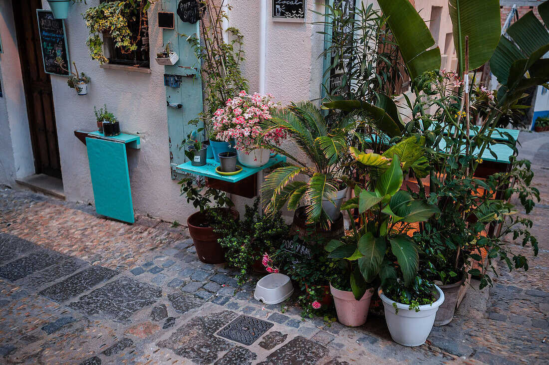 Charming La Templanza library in the old town of Peñiscola, Castellon, Valencian Community, Spain