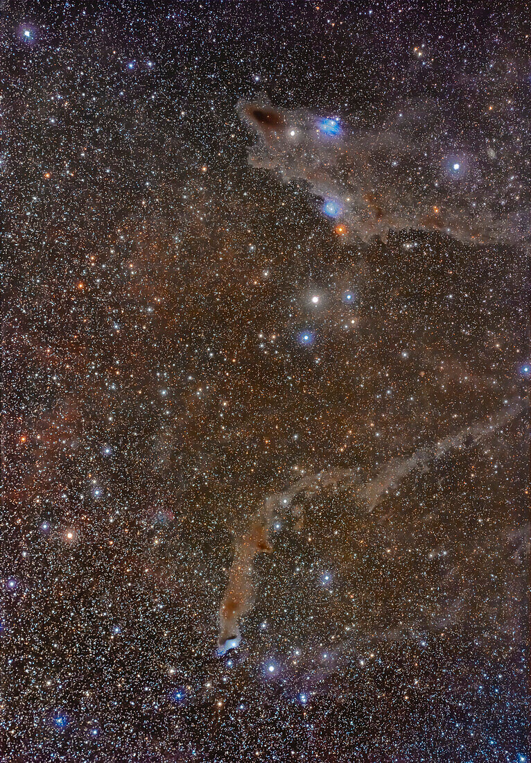 Dies ist ein Porträt eines Feldes von staubigen Nebeln im nördlichen Cepheus, weit entfernt von der Milchstraße, aber immer noch reich an schwachen Nebeln.