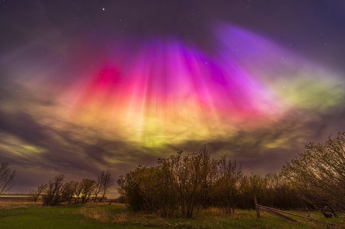 Dies war der Anblick eines vielfarbigen Polarlichtvorhangs, der sich am 10. Mai 2024 während des großen Nordlichtspektakels an meinem Himmel im Süden bildete. Der Kp-Index erreichte in dieser Nacht einen Höchststand von 8 und brachte die Polarlichter in weite Teile des Planeten, auch in die Tropen. Dies geschah von zu Hause in Süd-Alberta auf 51° nördlicher Breite aus, wo das Polarlicht den Himmel füllte, aber, wie hier, im Süden oft am besten und hellsten zu sehen war. Die Farben stammen von Sauerstoff, Stickstoff und Sonnenlicht, die die Grün-, Rot-, Rosa- und Blautöne erzeugen.