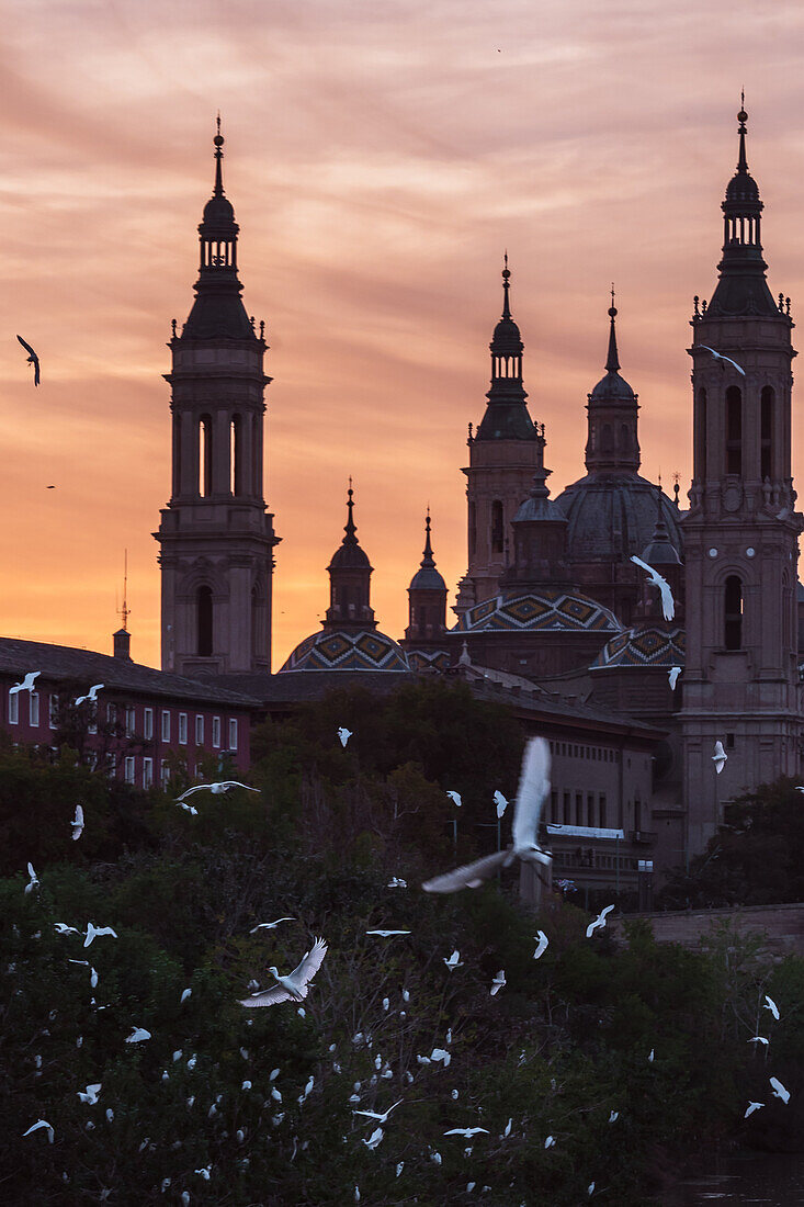 Vogelschwarm und Kathedralen-Basilika Unserer Lieben Frau von der Säule bei Sonnenuntergang, Zaragoza, Spanien