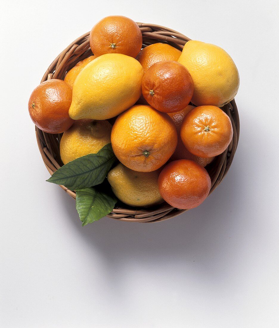 Zitrusfrüchte (Orange,Zitronen,Mandarinen) in Korbschale