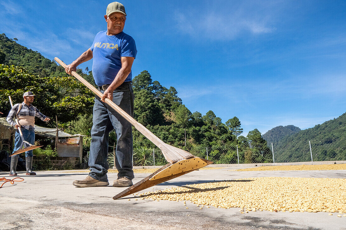 Trocknungsprozess auf den Terrassen der Häuser Guatemalas