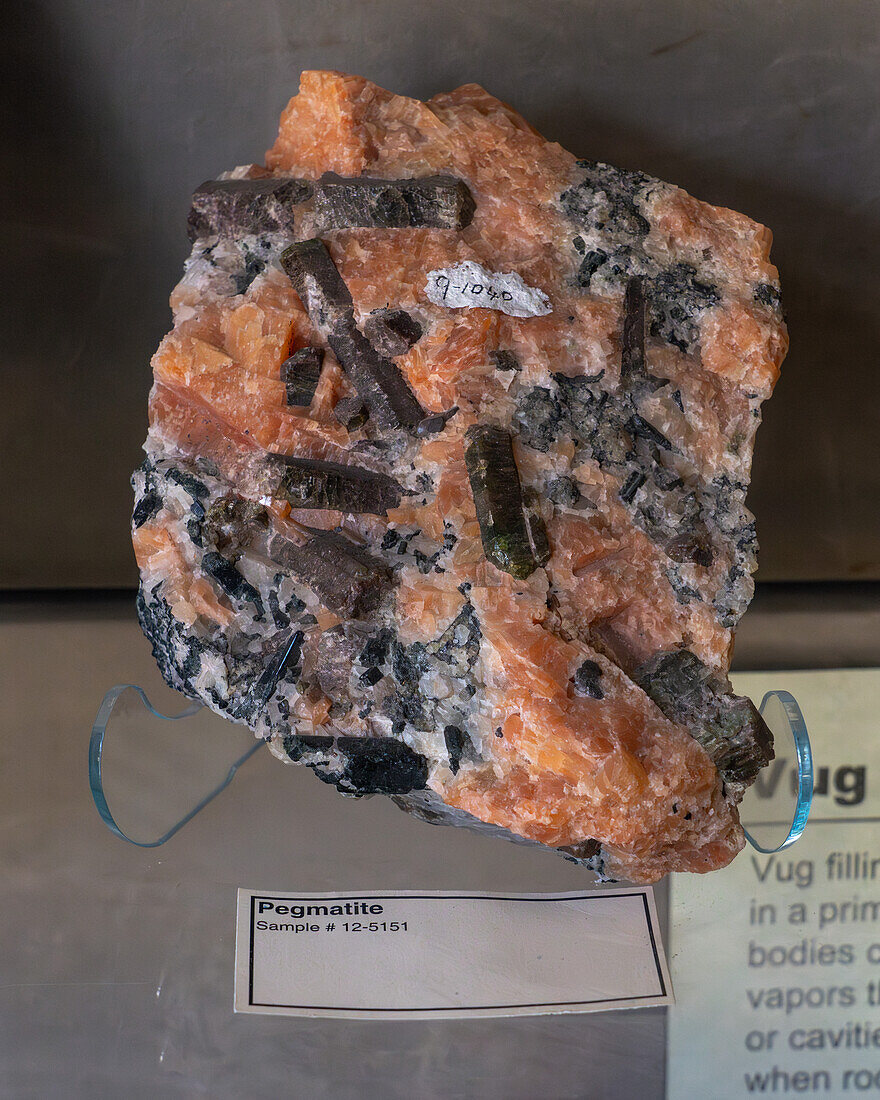 A specimen of Pegmatite in the Museum of Paleolontolgy at Brigham Young University, Provo, Utah.