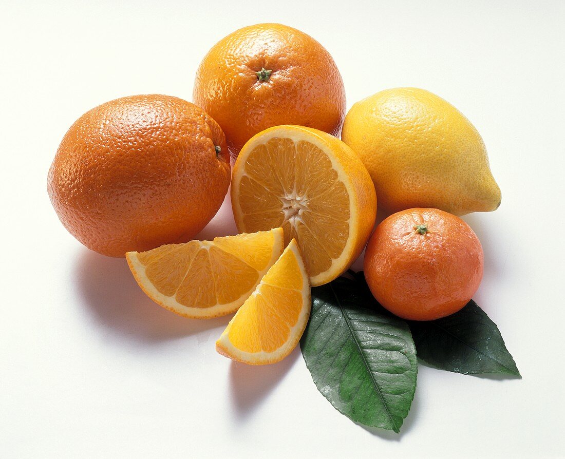 Zitrone, Orangen, Orangenschnitze, Mandarine und Blätter