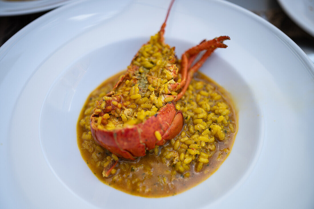 Reisauflauf mit Hummer im Restaurant, Peñiscola, Castellon, Valencianische Gemeinschaft, Spanien