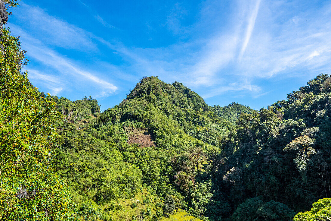 Coffee growing region in Huehuetenango in the mountain