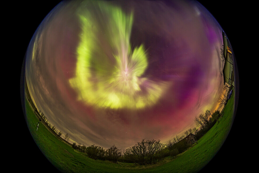 This was the view as the great aurora display of May 10, 2024 suddenly and briefly brightened and converged at the zenith for a superb corona effect. This lasted no more than a minute before it dimmed and subsided again, to continue to fill the sky but with much less structure and motion. The camera at left was set up for shooting movies, but this outburst was so brief I did not have a chance to start that camera going. The Big Dipper or Plough is above centre.