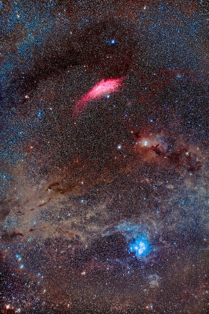 This is a portrait of the dust-filled region of sky from Perseus down to Taurus that includes the pink California Nebula (NGC 1499) at top down to the Pleiades star cluster (M45) at bottom.