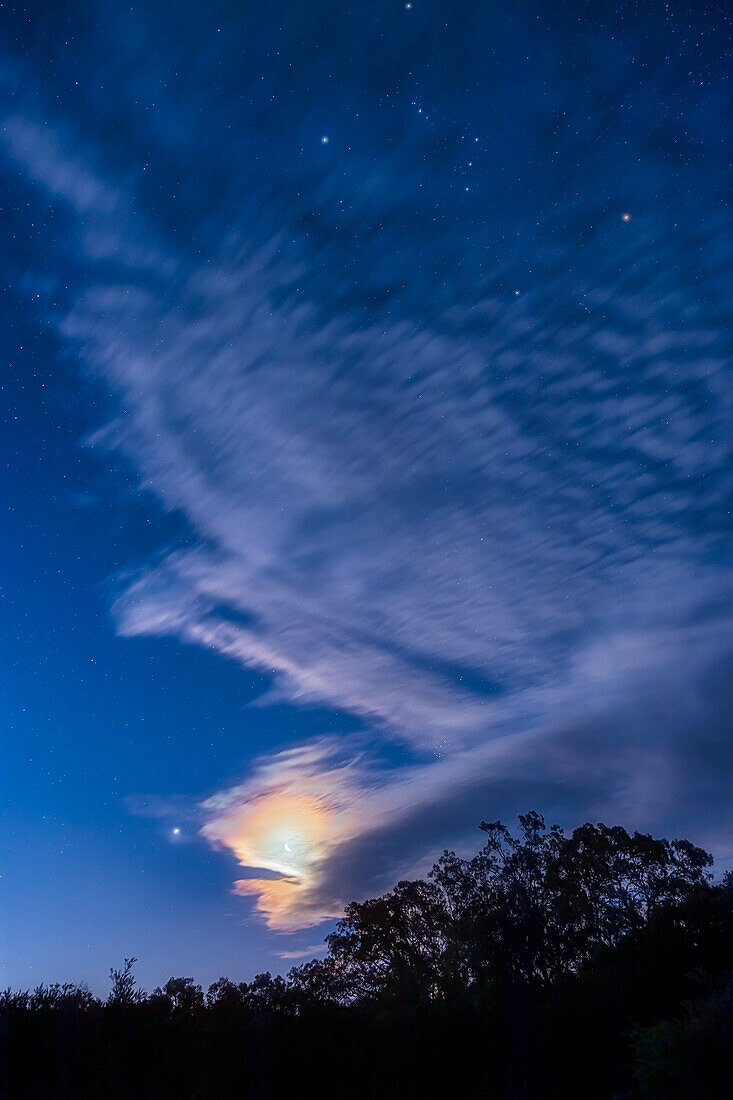 Die zunehmende Mondsichel in der Nähe von Jupiter am Abend des 14. März 2024, mit dem Sternpaar unterhalb des Orion, alles am westlichen Dämmerungshimmel an einem Herbstabend. Der Mond befindet sich in einer dünnen Wolke, die durch die Beugung an den Wassertröpfchen der Wolke die farbenfrohe Mondkorona um ihn herum erzeugt.