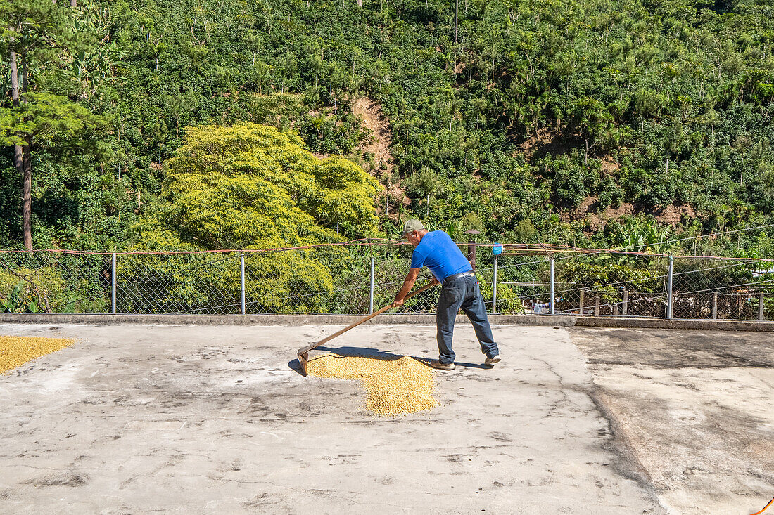 Trocknungsprozess auf den Terrassen der Häuser Guatemalas