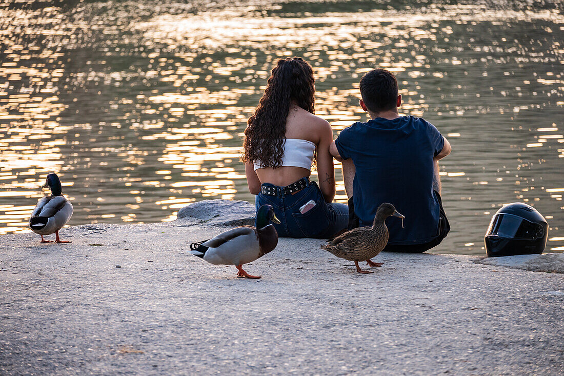 Young couple surrounded by ducks in the Ebro River bank, Zaragoza, Spain