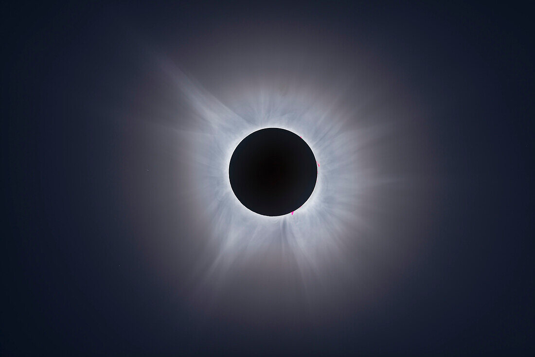 This is a telescopic close-up of the eclipsed Sun at the April 8, 2024 total solar eclipse, with the Sun's intricate atmosphere, the corona, surrounding the dark silhouetted disk of the Moon.