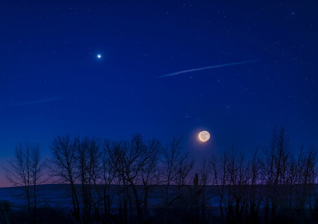 Dies ist die abnehmende Mondsichel (beleuchtet vom Erdlicht) und Venus (als Morgenstern"), die am Morgen des 8. Januar 2024 in der heller werdenden Morgendämmerung gemeinsam aufgehen. Der Mond hatte nur wenige Minuten zuvor den Stern Antares bedeckt (verdeckt), als beide niedrig und in den Bäumen standen. Beide Welten waren also an diesem Morgen in Scoripus."