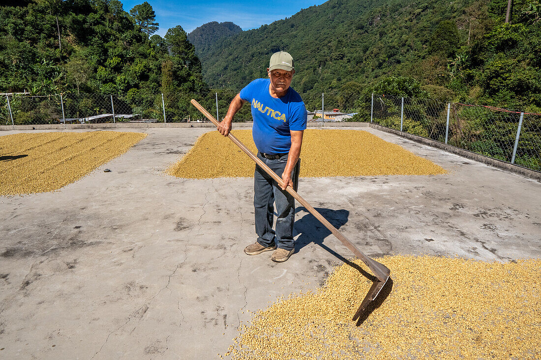 Trocknungsprozess auf den Terrassen der Häuser Guatemalas