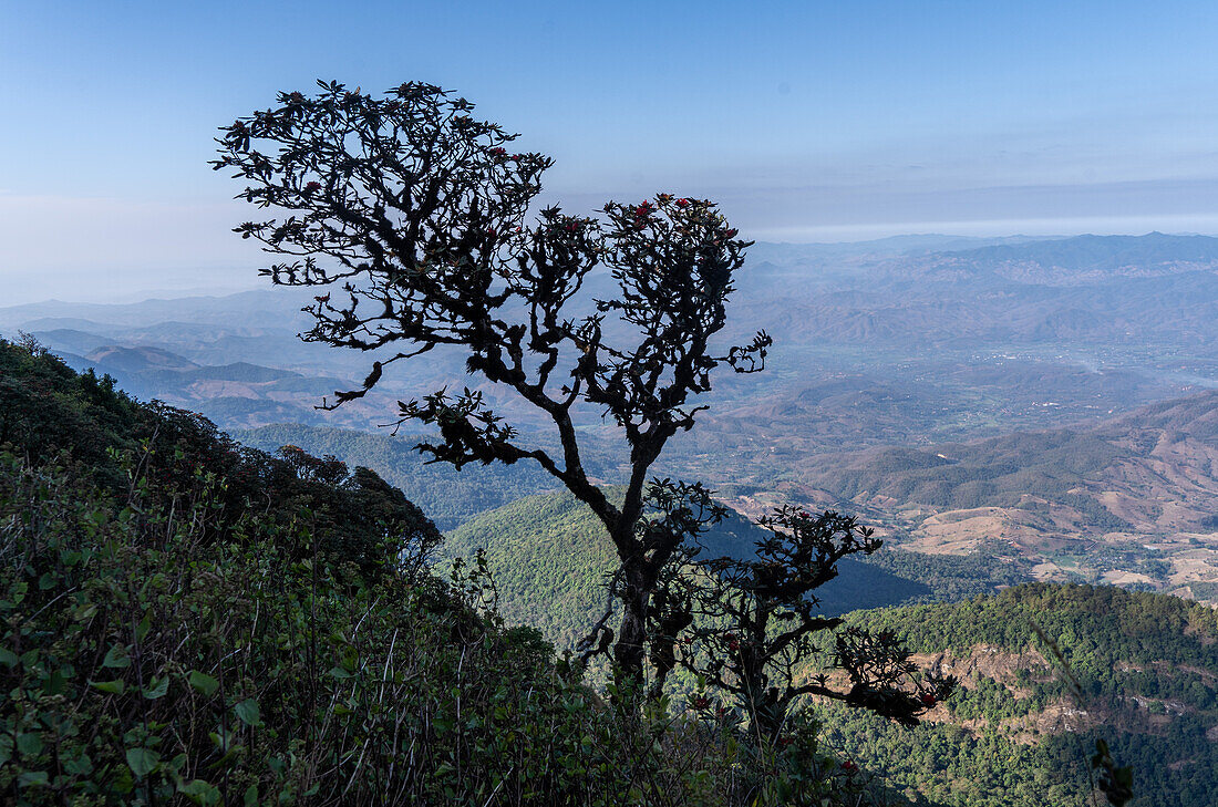 Blick auf den Doi Inthanon National Park in der Provinz Chiang Mai, Thailand, Südostasien, Asien