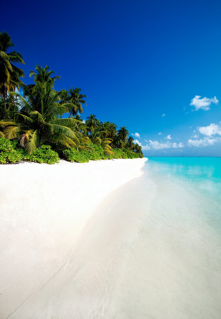 Schöner tropischer Strand, Die Malediven, Indischer Ozean, Asien