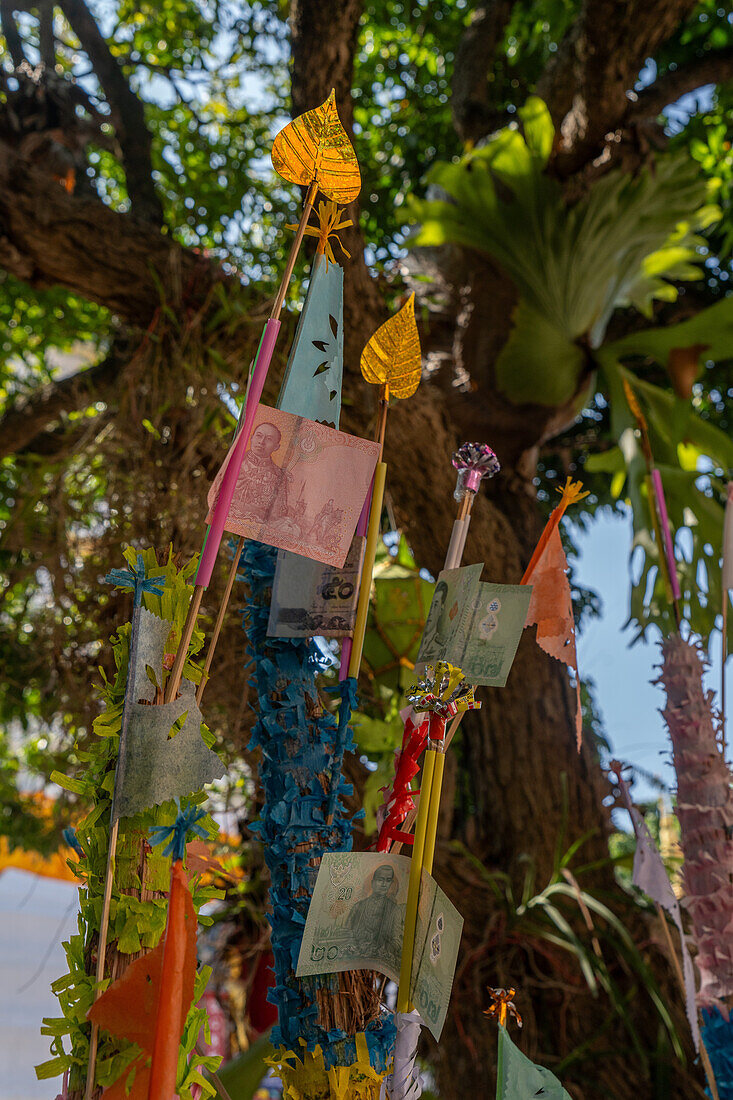 Geldspenden in einem Baum im buddhistischen Tempel Wat Ket Karam in Chiang Mai, Thailand, Südostasien, Asien