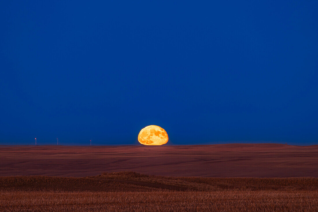 The Moon rising a day after Full, on November 28, 2023, over the flat prairie horizon near home in southern Alberta. This shows the flattening and distortion of the lunar disk from atmospheric refraction effects.