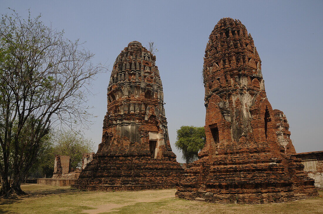 Wat Maha That, Buddhist temple in Ayutthaya, UNESCO World Heritage Site, Thailand, Southeast Asia, Asia