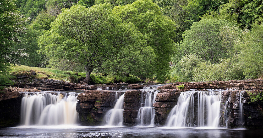 Wain Wath Falls, in der Nähe von Keld, Swaledale, Yorkshire Dales National Park, Yorkshire, England, Vereinigtes Königreich, Europa