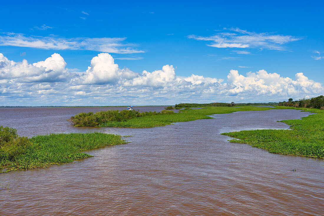 Wasserwege auf dem Rio Negro, Manaus, Bundesstaat Amazonas, Brasilien, Südamerika