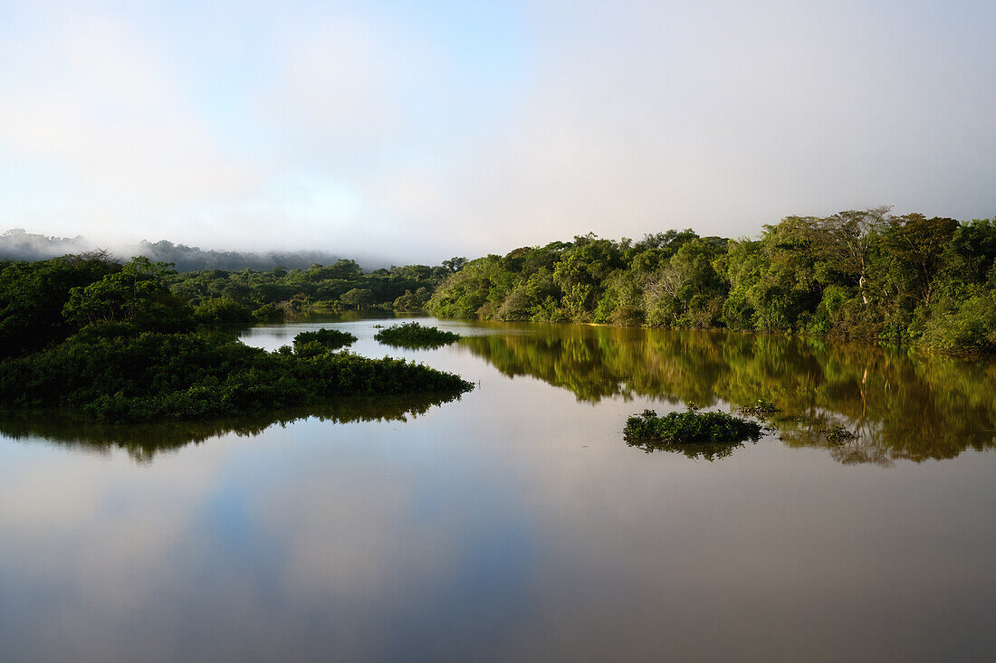 Morgennebel am Amana-Fluss, einem Nebenfluss des Amazonas, Bundesstaat Amazonas, Brasilien