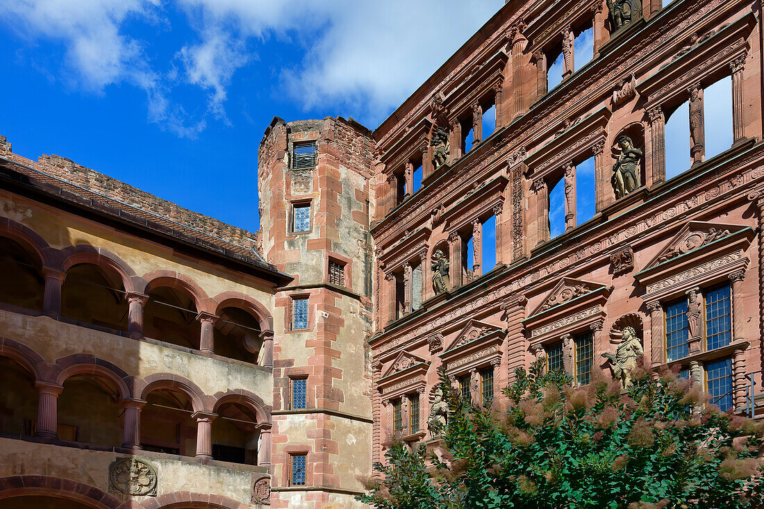 Heidelberger Schloss, Friedrichsflügel, Deutsches Apothekenmuseum und Glashalle, Heidelberg, Baden Württemberg, Deutschland, Europa