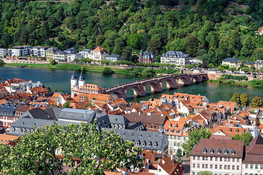 Heidelberg Innenstadt mit der Alten Brücke, Heidelberg, Baden Württemberg, Deutschland, Europa