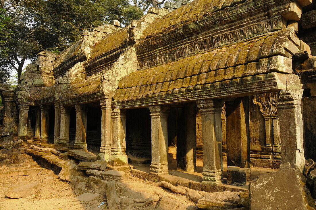 Ta-Prohm-Tempel, Angkor, UNESCO-Weltkulturerbe, Siem Reap, Kambodscha, Indochina, Südostasien, Asien