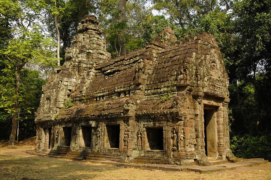 Ta Prohm Temple, Angkor, UNESCO World Heritage Site, Siem Reap, Cambodia, Indochina, Southeast Asia, Asia